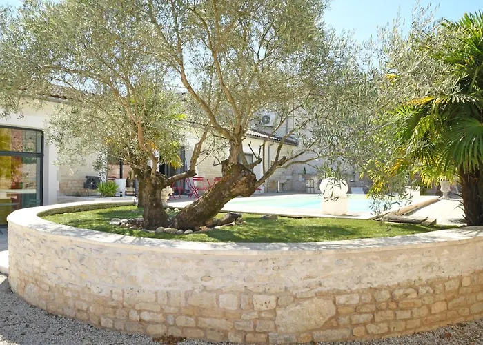 Maison Avec Piscine Et Jacuzzi Villa Sigogne